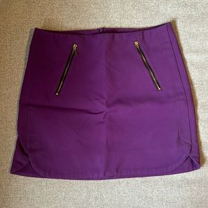 Purple Zara skirt